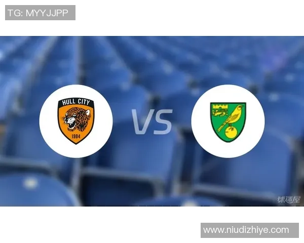 诺维奇对赫尔城比赛结果分析及精彩瞬间回顾