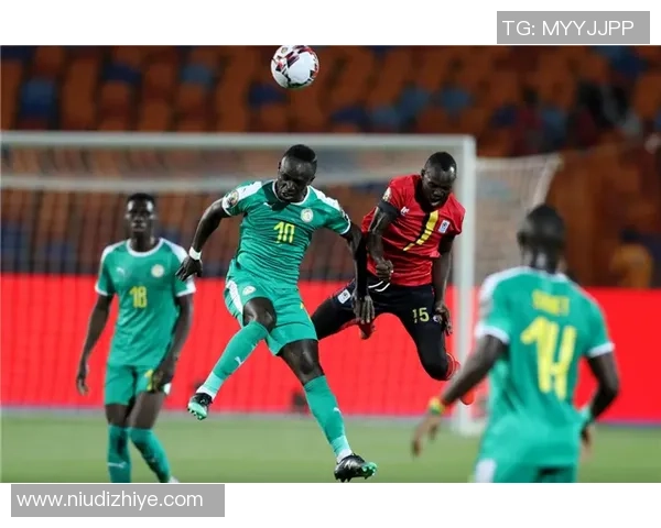 阿尔及利亚与塞内加尔精彩对决集锦回顾与分析